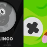 La ‘muerte’ del búho de Duolingo causa furor en redes sociales