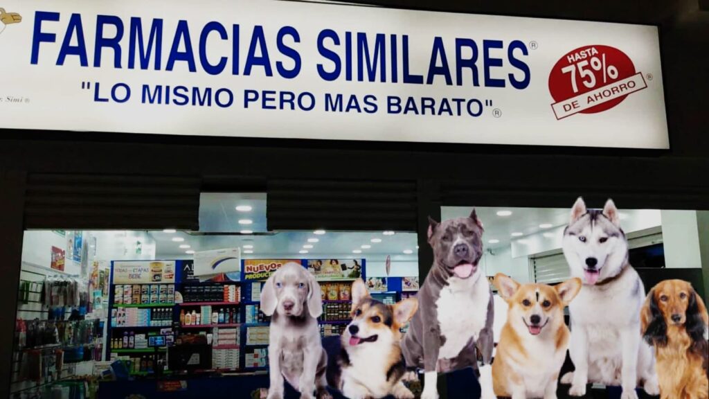 Simipet2