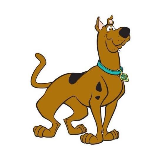 WhatsApp Image 2025-07-01 at 7.37.50 PM (6)