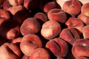 WhatsApp Image 2025-07-07 at 7.28.23 PM (3)