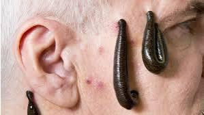 WhatsApp Image 2025-07-07 at 7.28.25 PM (3)