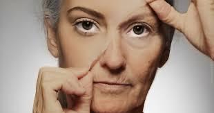 WhatsApp Image 2025-07-07 at 7.28.26 PM (4)