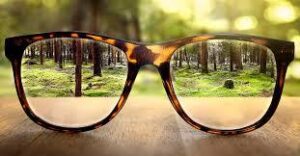 WhatsApp Image 2025-07-07 at 7.28.28 PM (5)