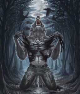 WhatsApp Image 2025-07-21 at 12.01.11 PM (16)