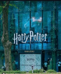 WhatsApp Image 2025-08-09 at 11.21.18 AM (10)