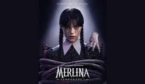 WhatsApp Image 2025-08-10 at 4.15.28 PM (3)