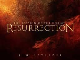 WhatsApp Image 2025-08-10 at 4.29.03 PM (8)