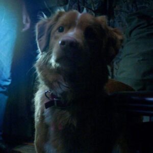 WhatsApp Image 2025-08-20 at 2.08.36 PM