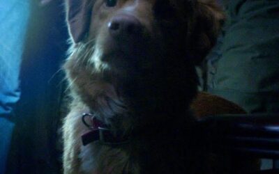 WhatsApp Image 2025-08-20 at 2.08.36 PM