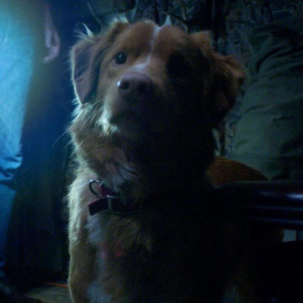 WhatsApp Image 2025-08-20 at 2.08.36 PM