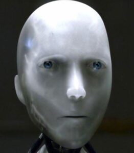 WhatsApp Image 2025-08-20 at 2.08.37 PM