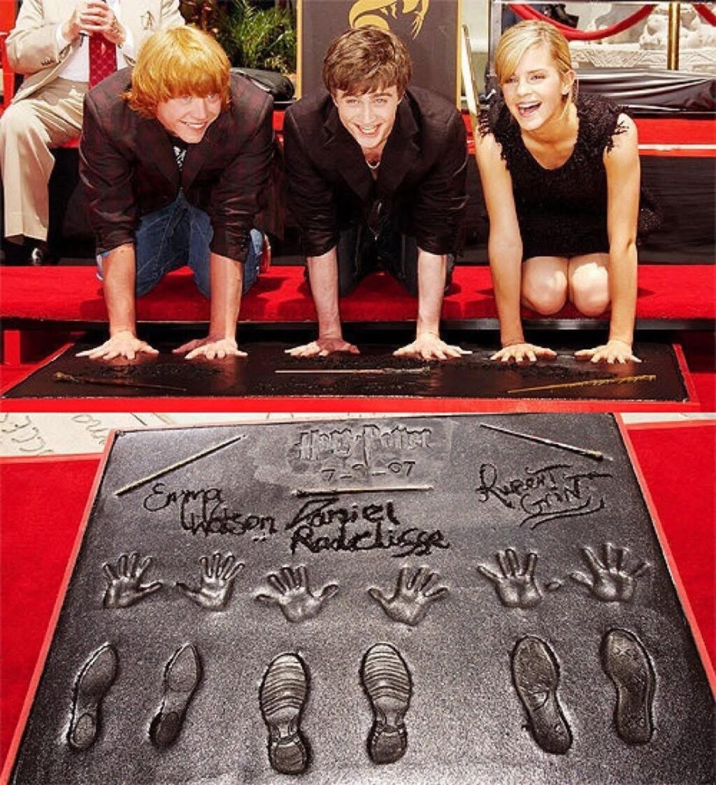 WhatsApp Image 2025-08-24 at 12.35.01 PM