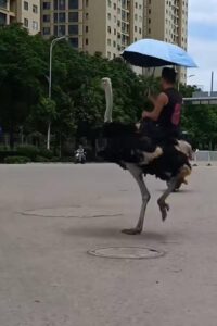 WhatsApp Image 2025-09-06 at 4.33.45 PM (8)