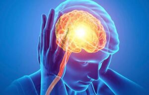 WhatsApp Image 2025-09-15 at 5.30.21 PM (5)