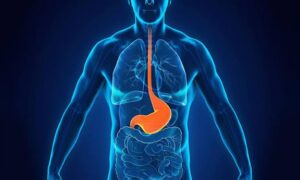 WhatsApp Image 2025-09-15 at 5.30.21 PM (7)