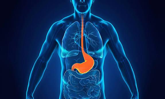 WhatsApp Image 2025-09-15 at 5.30.21 PM (7)