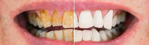 WhatsApp Image 2025-09-16 at 1.35.29 PM (5)