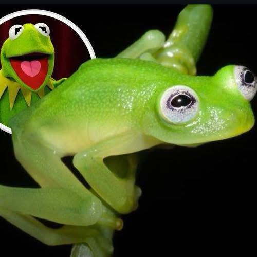 WhatsApp Image 2025-10-08 at 11.25.49 AM (20)