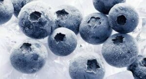 WhatsApp Image 2025-10-15 at 11.55.45 AM (15)