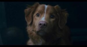 WhatsApp Image 2025-10-24 at 4.01.02 PM (15)