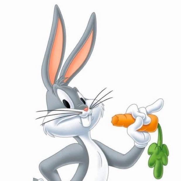 WhatsApp Image 2025-10-24 at 4.01.02 PM (17)