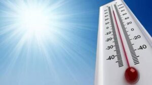 WhatsApp Image 2025-10-20 at 2.59.43 PM (30)